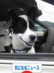 今日は天気がいいね！ドライブ気分も最高だぜ！